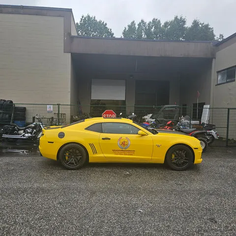 202860_5c502404972743e79b2780ffff77839f~mv2